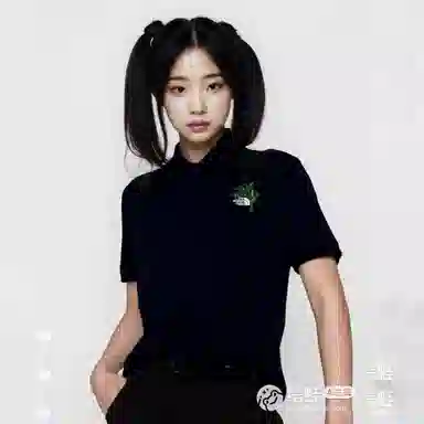 THE NORTH FACE Polo