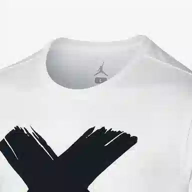 Air Jordan 1 Banned T