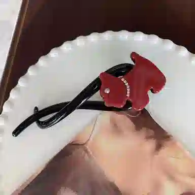 LACEROOM