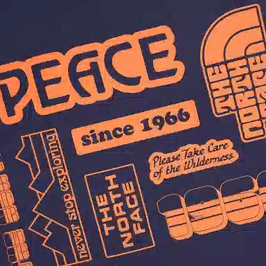 THE NORTH FACE vanlifeT