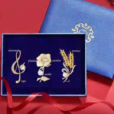 缔晶 浪漫法式复古轻奢胸花套装 精致时尚通勤造型配饰礼盒 合金 胸针 女款