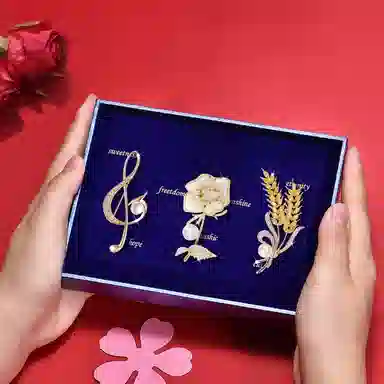 缔晶 浪漫法式复古轻奢胸花套装 精致时尚通勤造型配饰礼盒 合金 胸针 女款