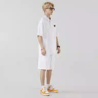 Automobili Lamborghini logoPolo