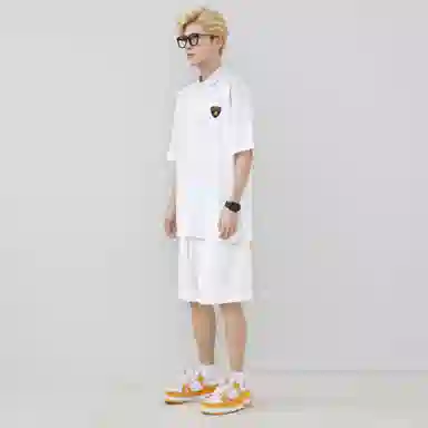 Automobili Lamborghini logoPolo