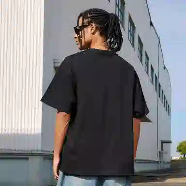 VEIDOORN T 2