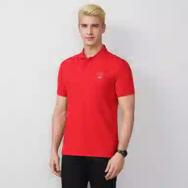 Automobili Lamborghini Polo