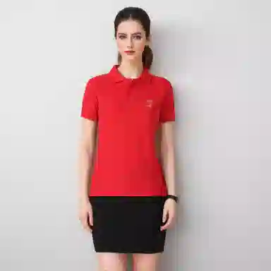 Automobili Lamborghini Polo