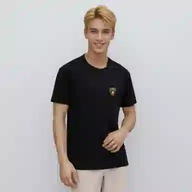 Automobili Lamborghini logoT