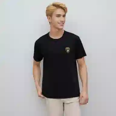 Automobili Lamborghini logoT