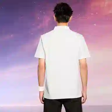 HLA POLO