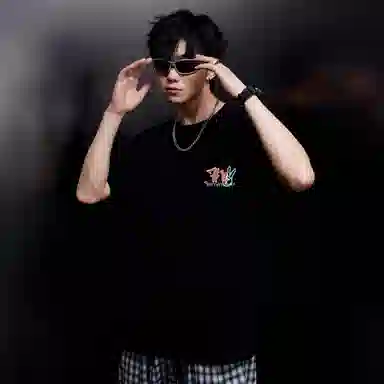 CSKS 230GVINTAGELogoT