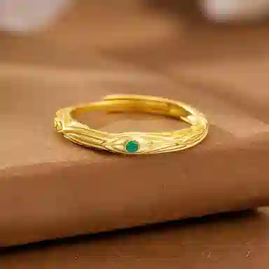 FR S925