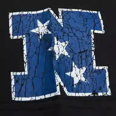 Mitchell Ness x NFL Philadelphia Eagles Team OG Premium T