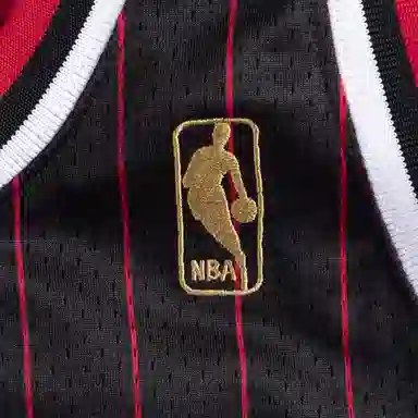 Mitchell Ness NBA AU 1996-97 23
