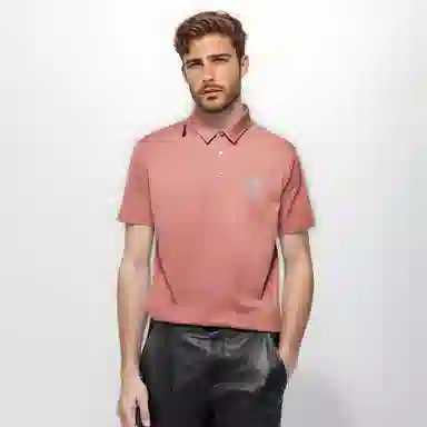 Automobili Lamborghini Polo