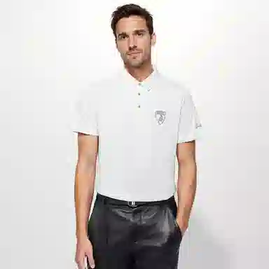 Automobili Lamborghini Polo