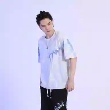 FireMonkey T