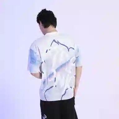 FireMonkey T