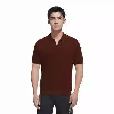 Massimo Dutti VPolo