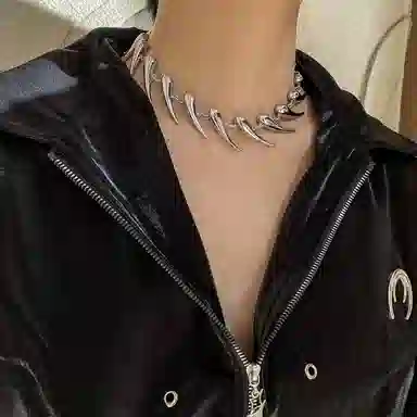 ZWU ins