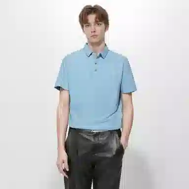 Automobili Lamborghini LogoPolo