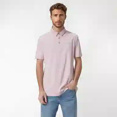 Automobili Lamborghini LogoPolo