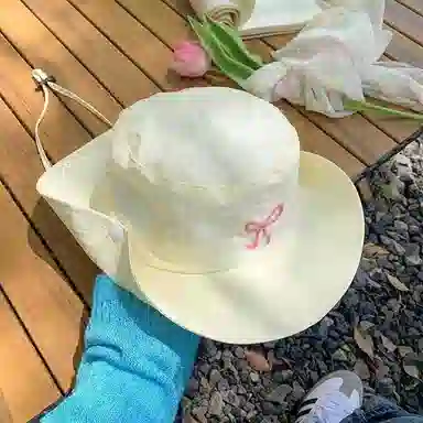 ins