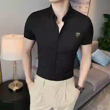 Automobili Lamborghini logo