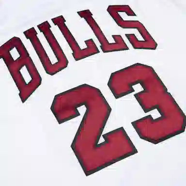 Mitchell Ness NBA AU 95-96 23