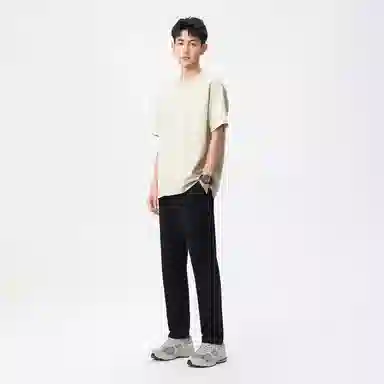 Hansca T