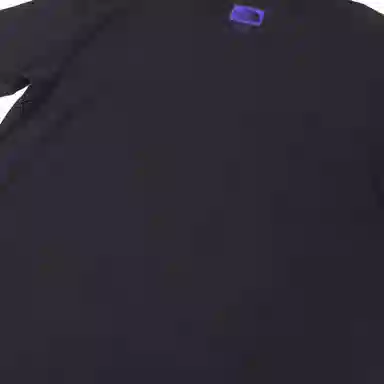 THE NORTH FACE PURPLE LABEL T