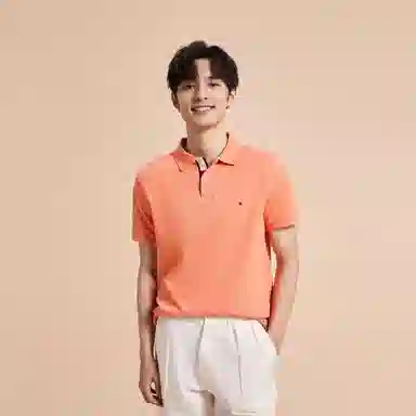 Tommy Hilfiger Polo