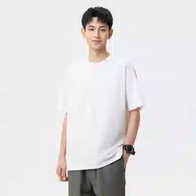 Hansca T