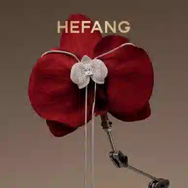 HEFANG