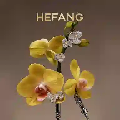 HEFANG 925