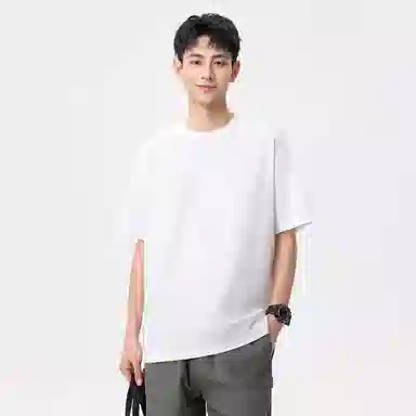 Hansca T