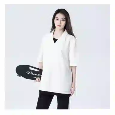 X1617 T
