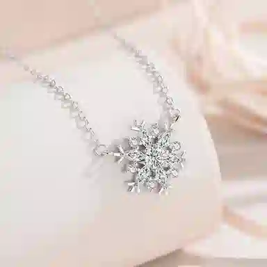 ins 925