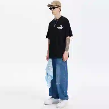 ICONS Lab Lab T
