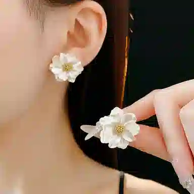 DVNRR