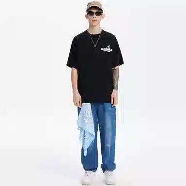 ICONS Lab Lab T