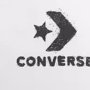 Converse Chuck Taylor SEASONAL FW24 logoT