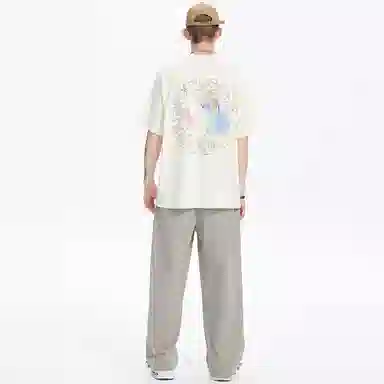 ICONS Lab Lab T