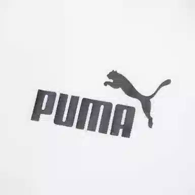 PUMA Power Summer Graphic Tee logoT
