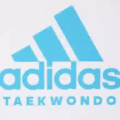 adidas Logo T
