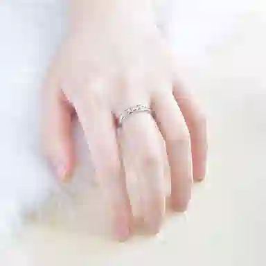 DVNRR s925