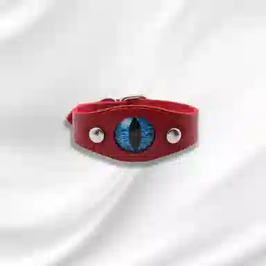 大唐国鼎 火焰魔瞳小众时尚简约设计潮酷个性小众高级感森系高级感本命年财运 好运 皮革 手环 男女同款情侣款