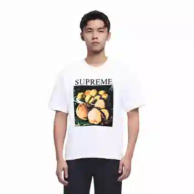 Supreme FW18 Still Life Tee Ash Grey