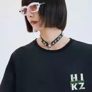 HIKZ logoT