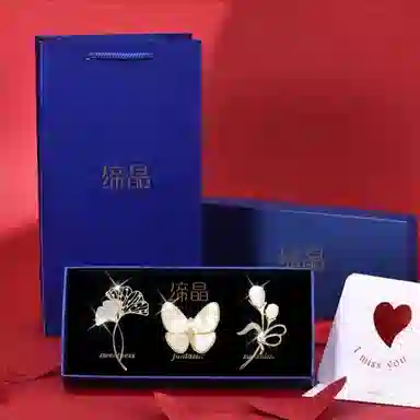 缔晶 轻奢时尚精致闪耀 优雅气质日常通勤百搭衣服防走光 合金 胸针 女款